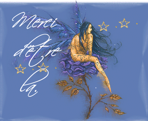 8 MERCI