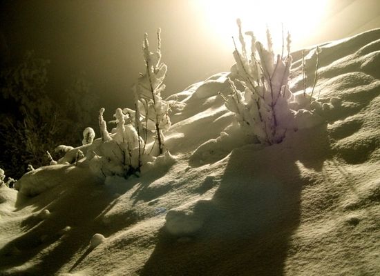 Paysages de neige .... dans Belles images mh3sfrvi