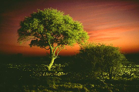 TrÃ¨s belles images de paysages.