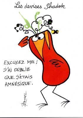 Afficher l'image d'origine